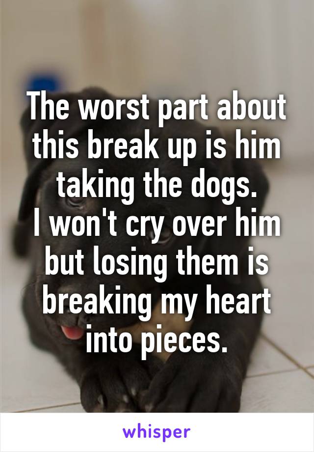 The worst part about this break up is him taking the dogs.
I won't cry over him but losing them is breaking my heart into pieces.