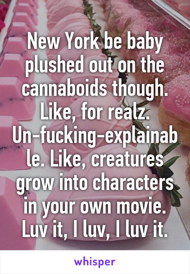 New York be baby plushed out on the cannaboids though. Like, for realz. Un-fucking-explainable. Like, creatures grow into characters in your own movie. Luv it, I luv, I luv it.