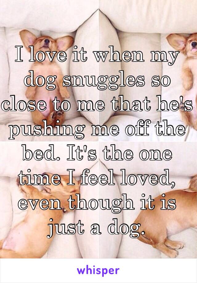 I love it when my dog snuggles so close to me that he's pushing me off the bed. It's the one time I feel loved, even though it is just a dog.