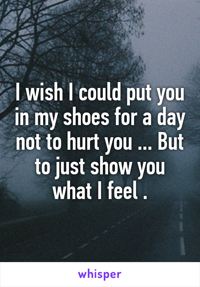 I wish I could put you in my shoes for a day not to hurt you ... But to just show you what I feel .