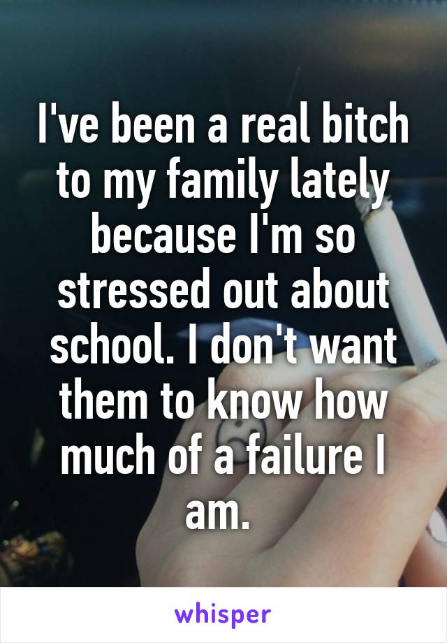 I've been a real bitch to my family lately because I'm so stressed out about school. I don't want them to know how much of a failure I am. 