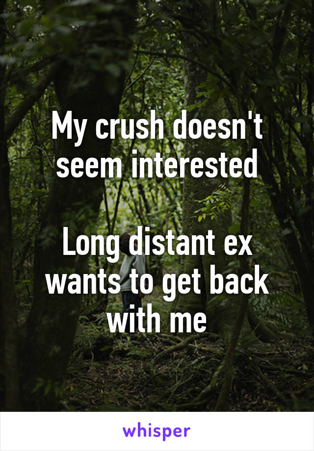 My crush doesn't seem interested

Long distant ex wants to get back with me