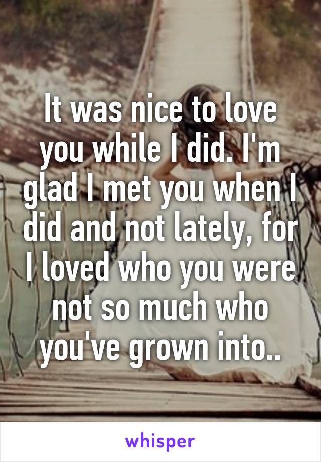 It was nice to love you while I did. I'm glad I met you when I did and not lately, for I loved who you were not so much who you've grown into..