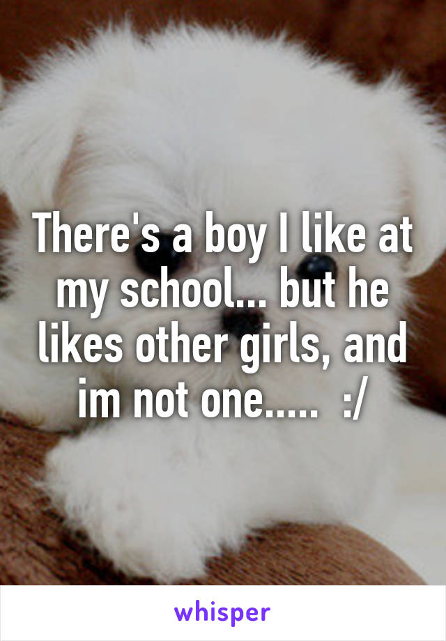 There's a boy I like at my school... but he likes other girls, and im not one.....  :/