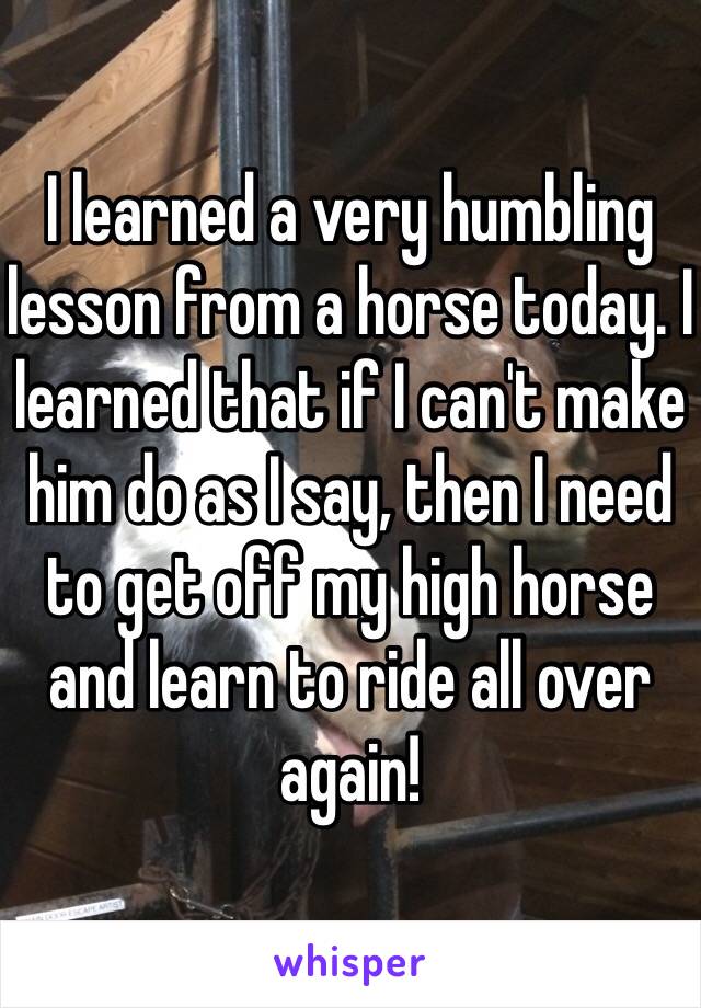 I learned a very humbling lesson from a horse today. I learned that if I can't make him do as I say, then I need to get off my high horse and learn to ride all over again! 