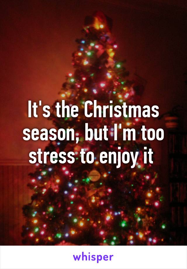 It's the Christmas season, but I'm too stress to enjoy it 