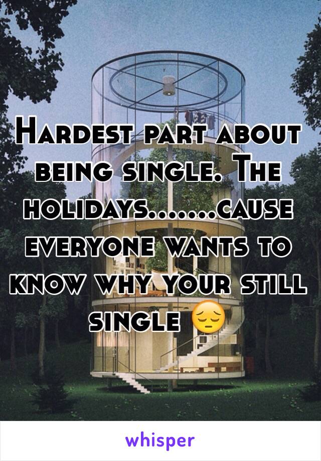 Hardest part about being single. The holidays.......cause everyone wants to know why your still single 😔