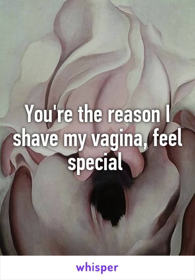 You're the reason I shave my vagina, feel special 