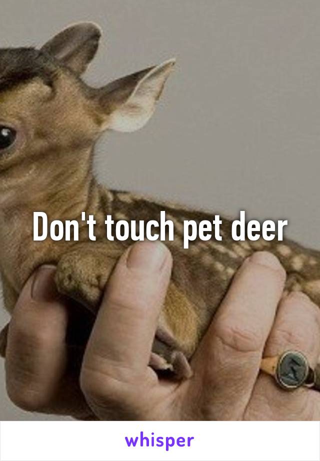 Don't touch pet deer