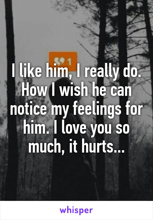 I like him, I really do. How I wish he can notice my feelings for him. I love you so much, it hurts...