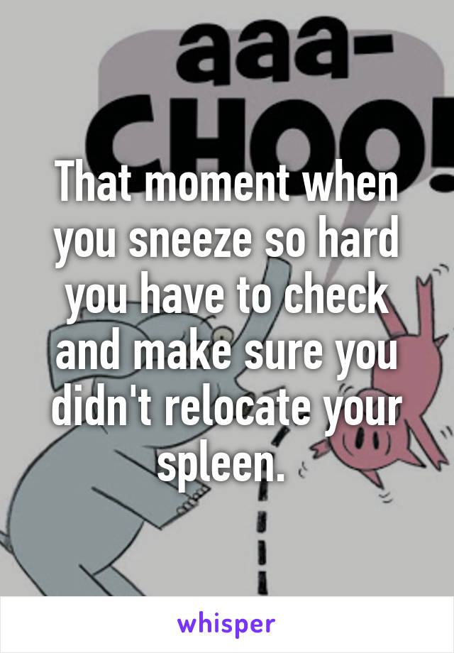 That moment when you sneeze so hard you have to check and make sure you didn't relocate your spleen. 