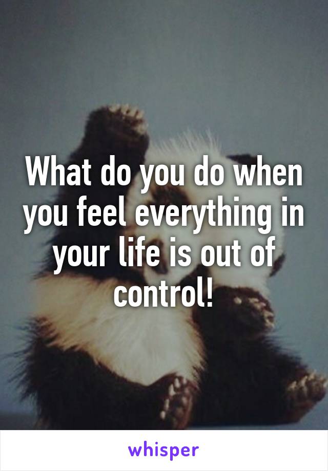 What do you do when you feel everything in your life is out of control!