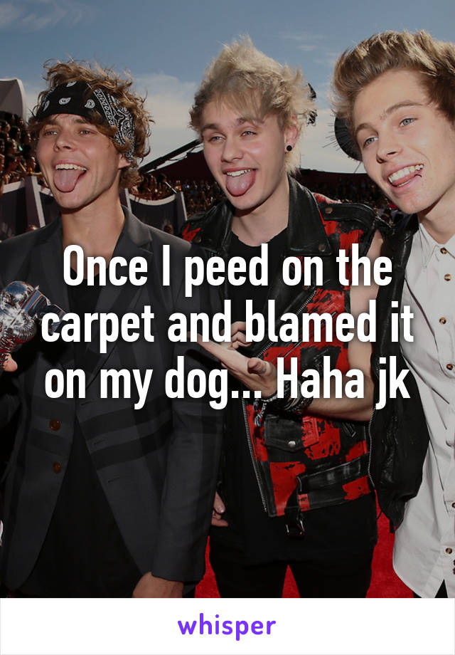 Once I peed on the carpet and blamed it on my dog... Haha jk