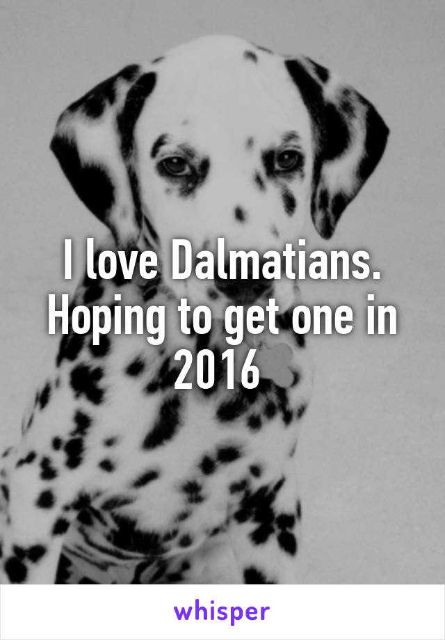 I love Dalmatians. Hoping to get one in 2016 