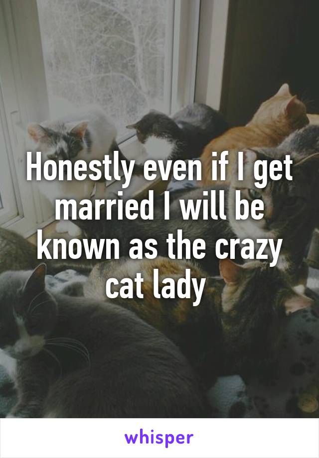 Honestly even if I get married I will be known as the crazy cat lady 