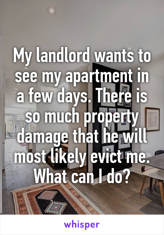 My landlord wants to see my apartment in a few days. There is so much property damage that he will most likely evict me. What can I do?