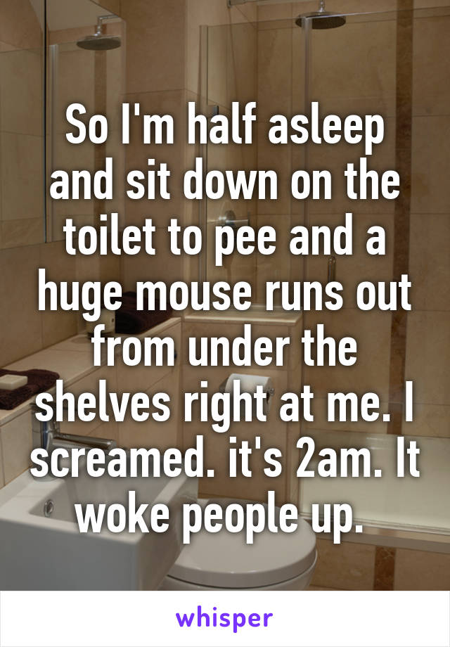 So I'm half asleep and sit down on the toilet to pee and a huge mouse runs out from under the shelves right at me. I screamed. it's 2am. It woke people up. 