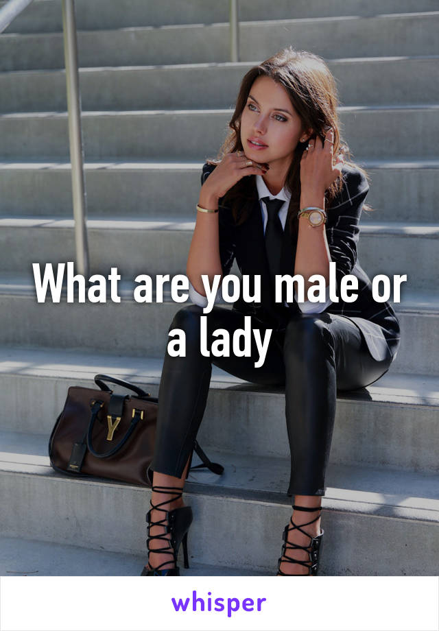 What are you male or a lady