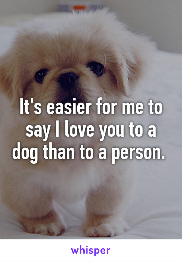 It's easier for me to say I love you to a dog than to a person. 