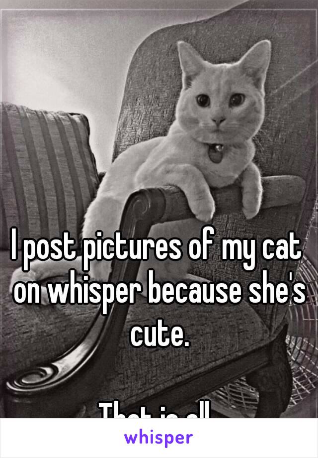 I post pictures of my cat on whisper because she's cute.

That is all.