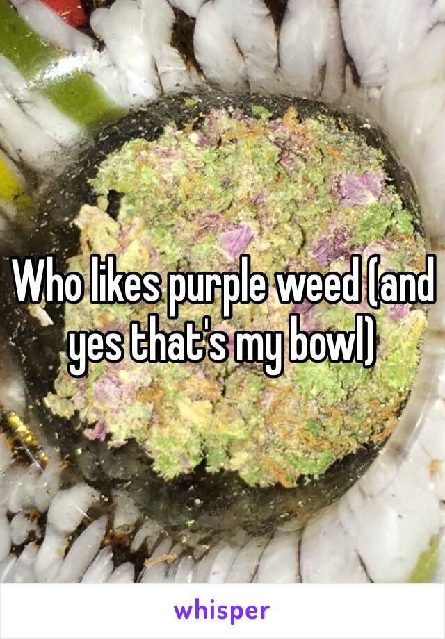 Who likes purple weed (and yes that's my bowl) 