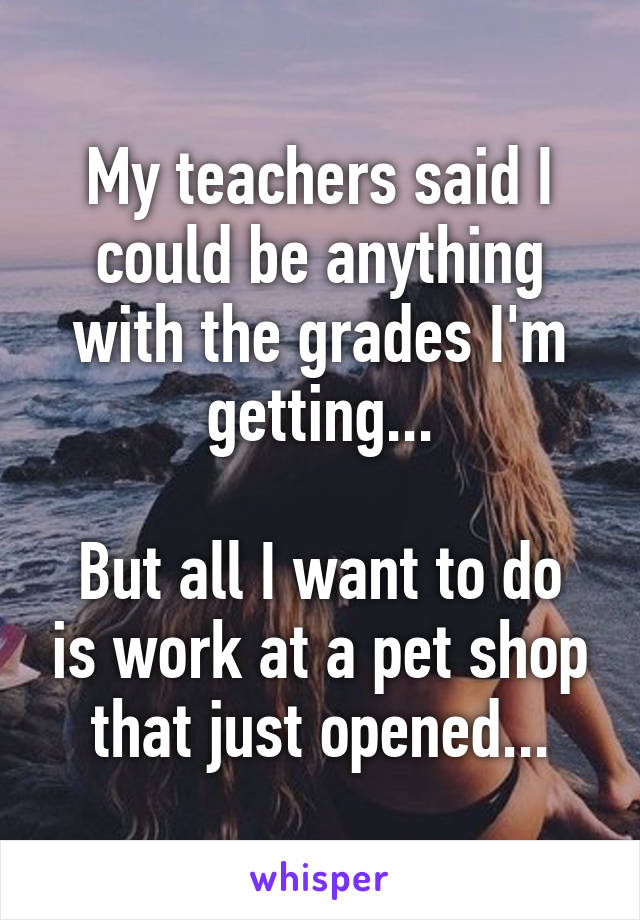 My teachers said I could be anything with the grades I'm getting...

But all I want to do is work at a pet shop that just opened...