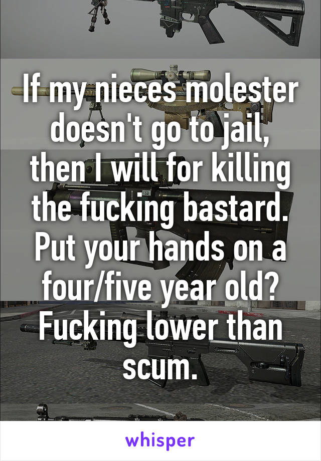 If my nieces molester doesn't go to jail, then I will for killing the fucking bastard. Put your hands on a four/five year old? Fucking lower than scum.