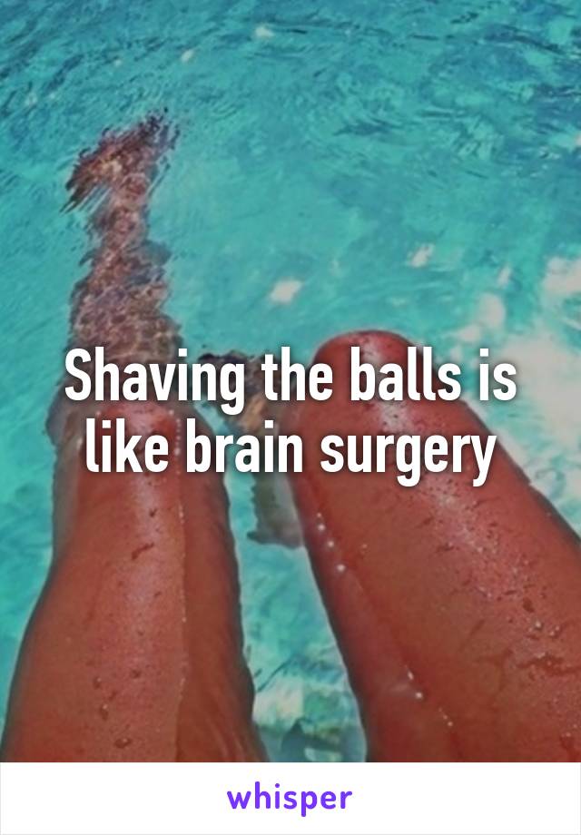 Shaving the balls is like brain surgery