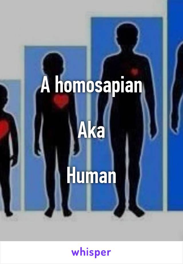 A homosapian

Aka

Human