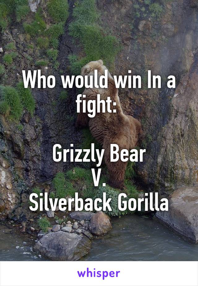 Who would win In a fight: 

Grizzly Bear
V.
Silverback Gorilla