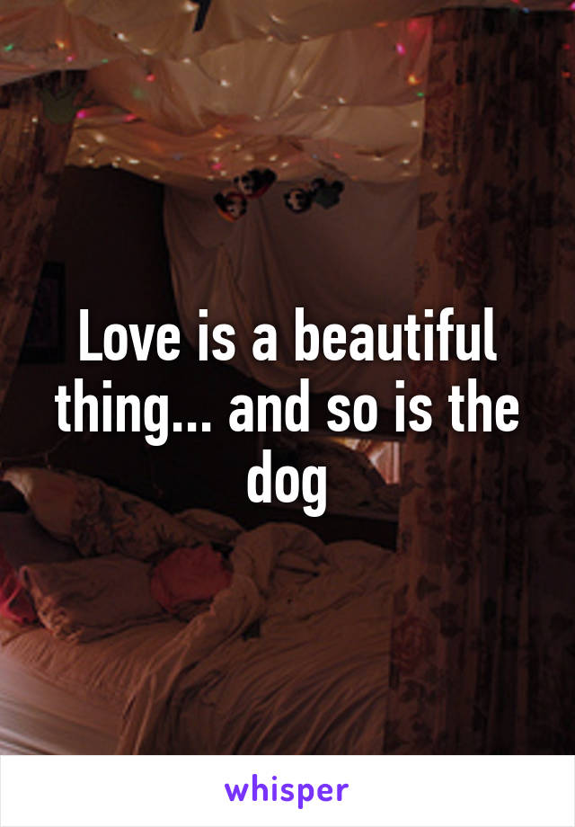 Love is a beautiful thing... and so is the dog