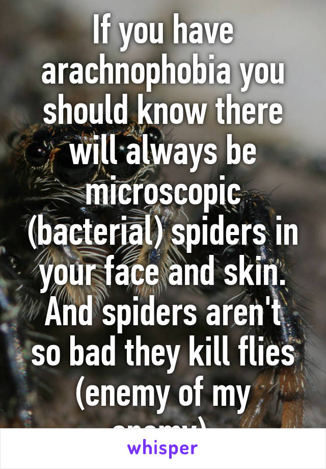 If you have arachnophobia you should know there will always be microscopic (bacterial) spiders in your face and skin.
And spiders aren't so bad they kill flies (enemy of my enemy).