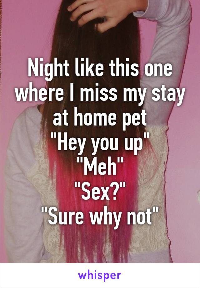 Night like this one where I miss my stay at home pet
"Hey you up"
"Meh"
"Sex?"
"Sure why not"