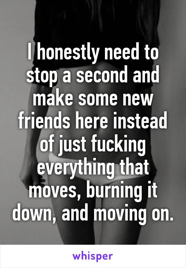 I honestly need to stop a second and make some new friends here instead of just fucking everything that moves, burning it down, and moving on.