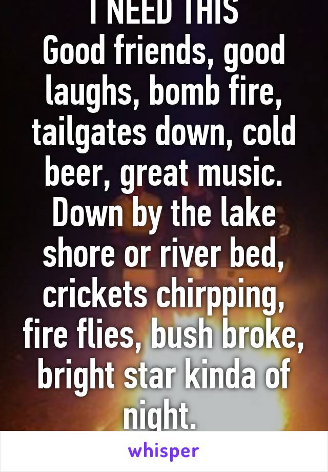 I NEED THIS
Good friends, good laughs, bomb fire, tailgates down, cold beer, great music. Down by the lake shore or river bed, crickets chirpping, fire flies, bush broke, bright star kinda of night. 
