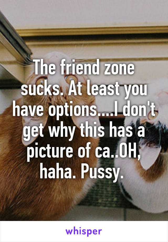 The friend zone sucks. At least you have options....I don't get why this has a picture of ca..OH, haha. Pussy. 