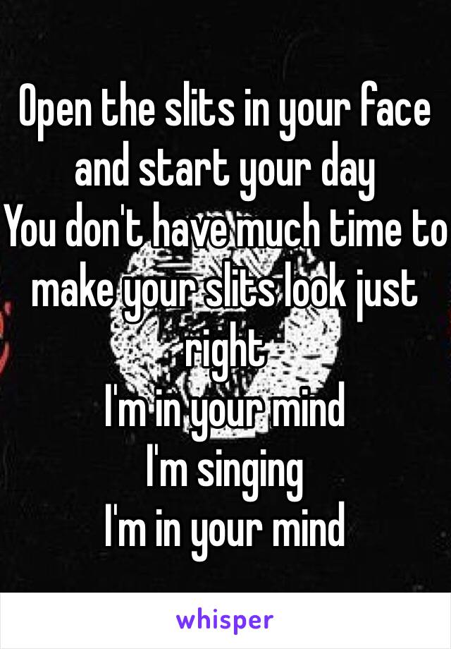 Open the slits in your face and start your day
You don't have much time to make your slits look just right
I'm in your mind
I'm singing
I'm in your mind