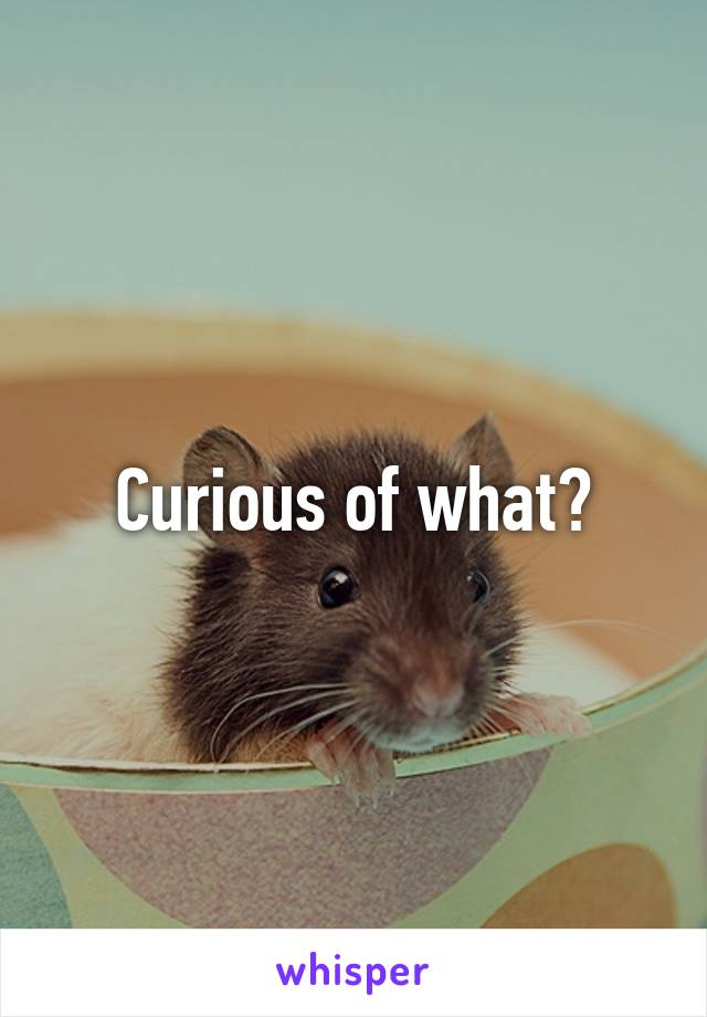 Curious of what?