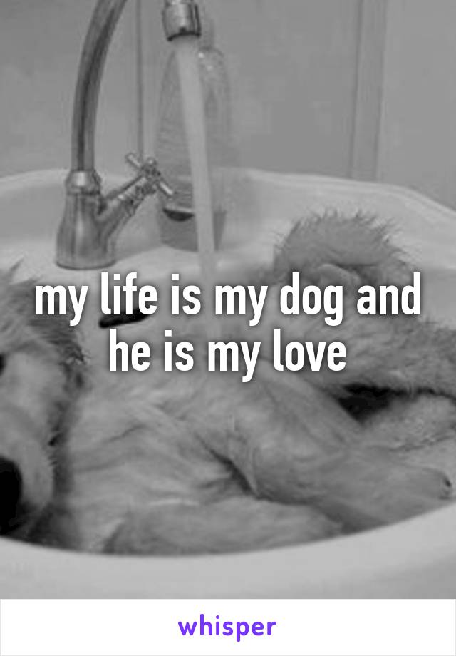 my life is my dog and he is my love