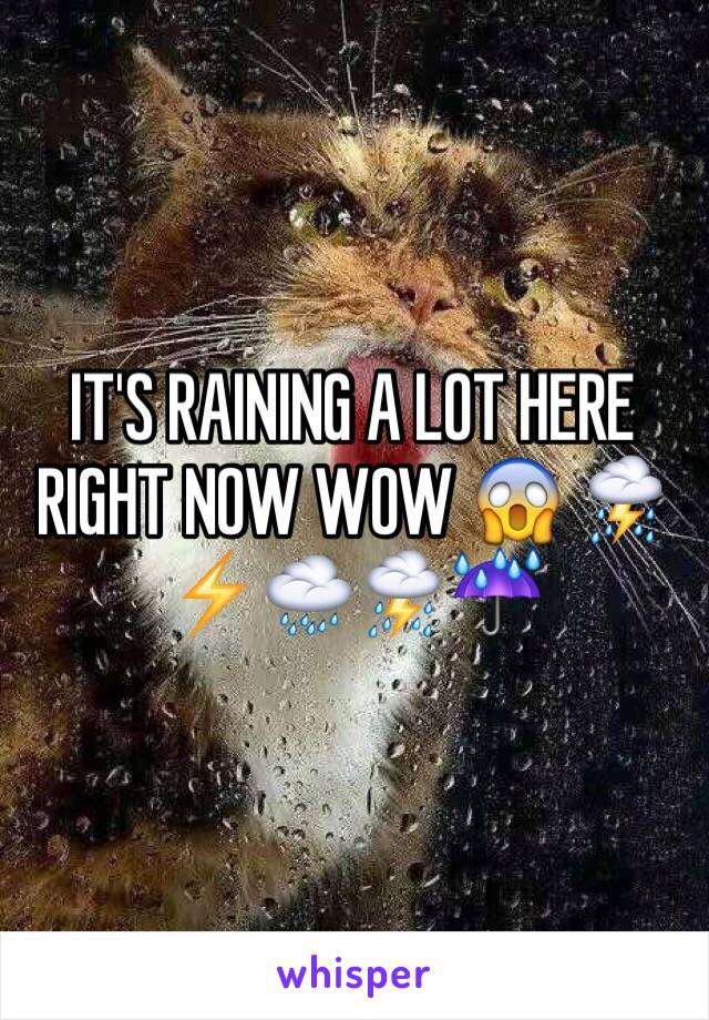 IT'S RAINING A LOT HERE RIGHT NOW WOW 😱 ⛈⚡️🌧⛈☔️