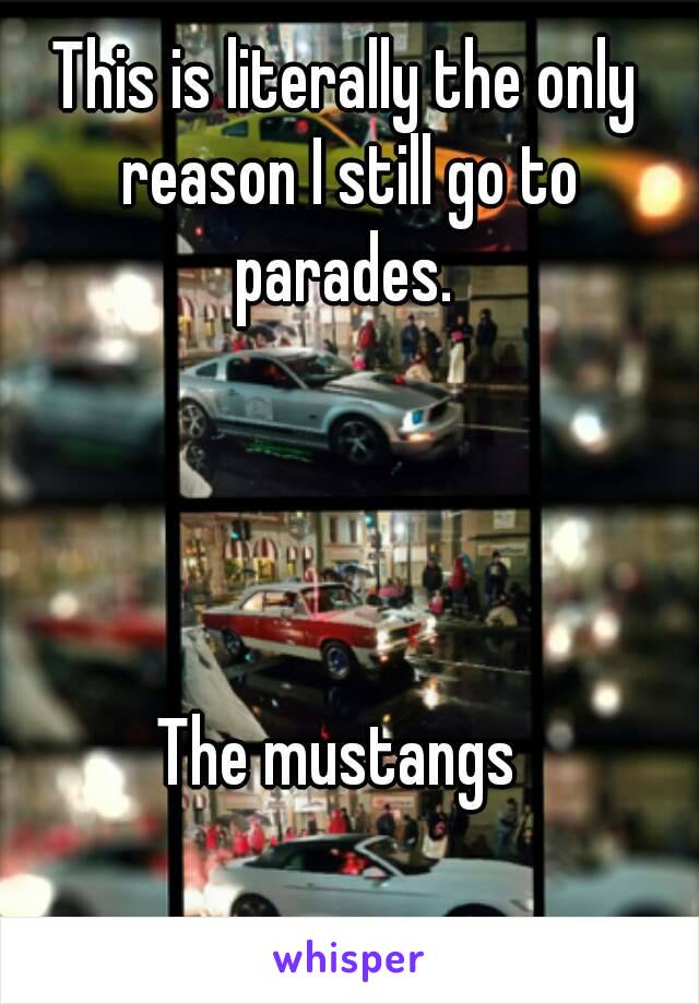 This is literally the only reason I still go to parades. 




The mustangs 