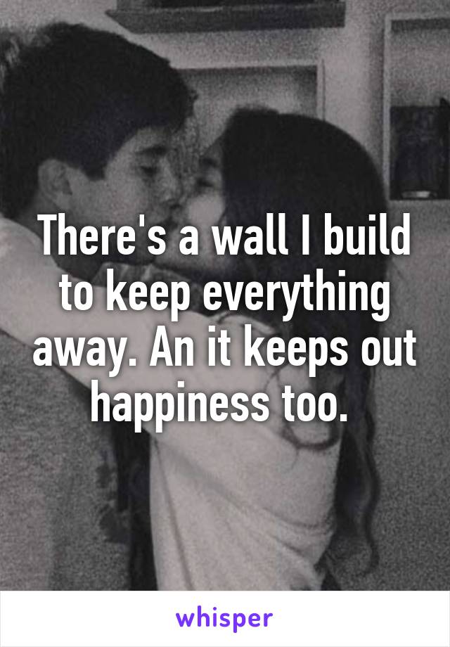 There's a wall I build to keep everything away. An it keeps out happiness too. 