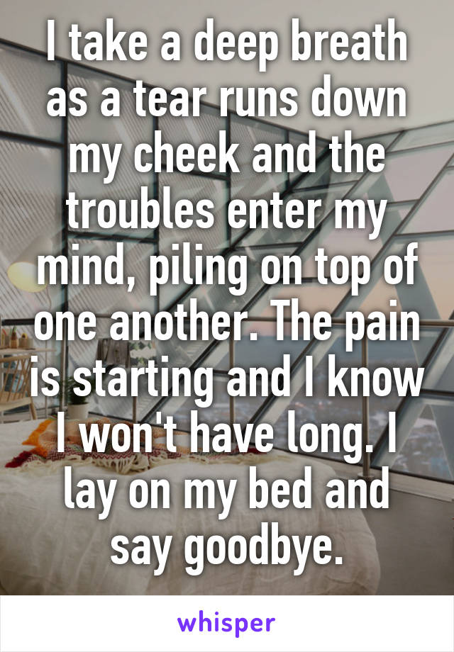 I take a deep breath as a tear runs down my cheek and the troubles enter my mind, piling on top of one another. The pain is starting and I know I won't have long. I lay on my bed and say goodbye.
