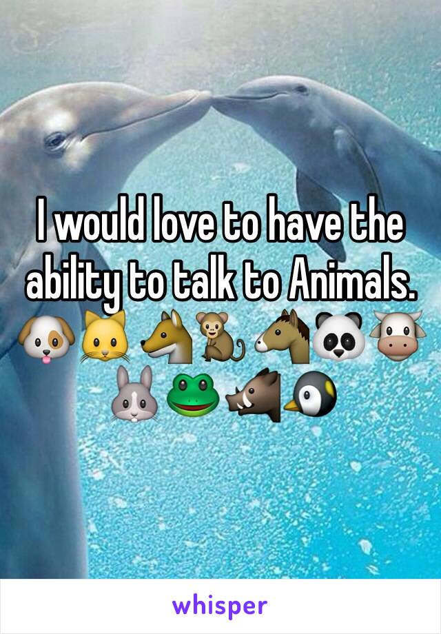 I would love to have the ability to talk to Animals. 
🐶🐱🐺🐒🐴🐼🐮🐰🐸🐗🐧