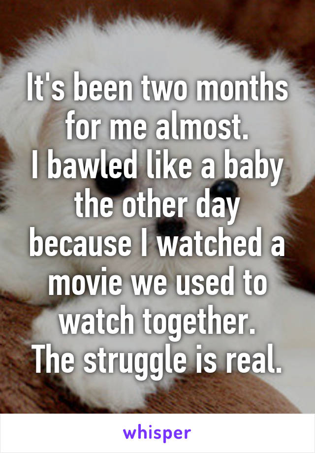 It's been two months for me almost.
I bawled like a baby the other day because I watched a movie we used to watch together.
The struggle is real.