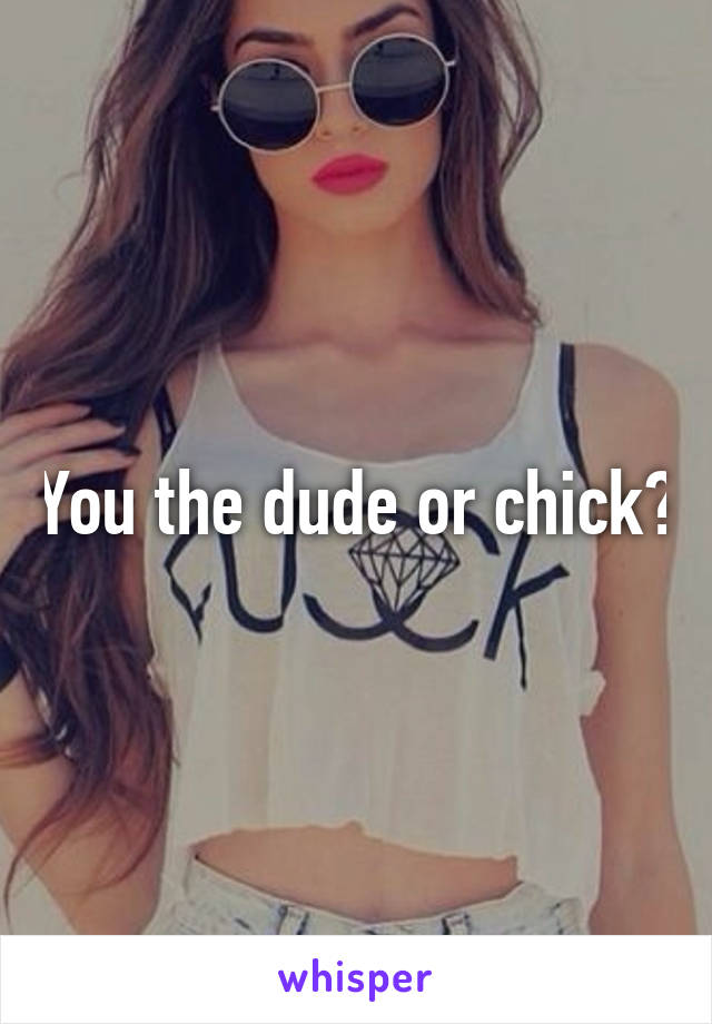 You the dude or chick?