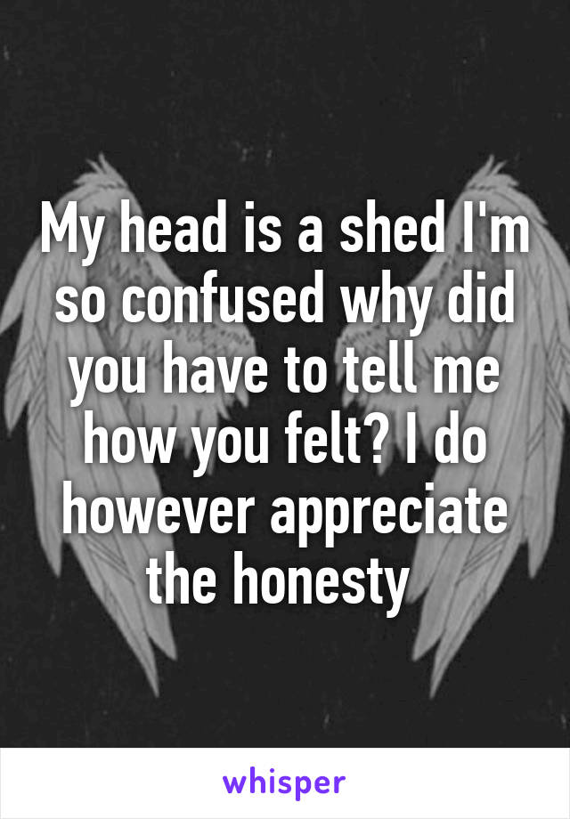 My head is a shed I'm so confused why did you have to tell me how you felt? I do however appreciate the honesty 