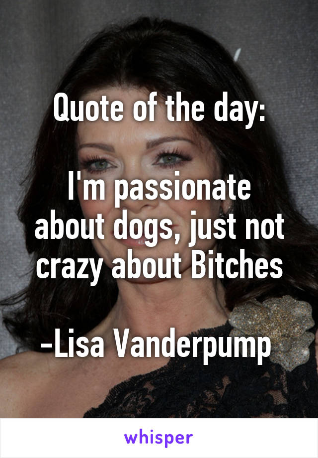 Quote of the day:

I'm passionate about dogs, just not crazy about Bitches

-Lisa Vanderpump 