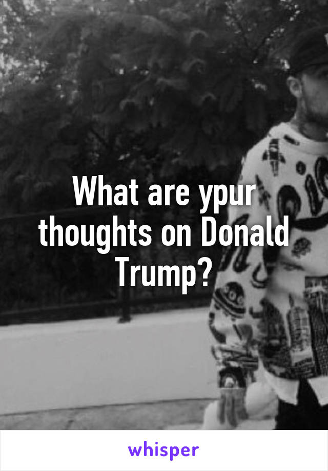 What are ypur thoughts on Donald Trump?