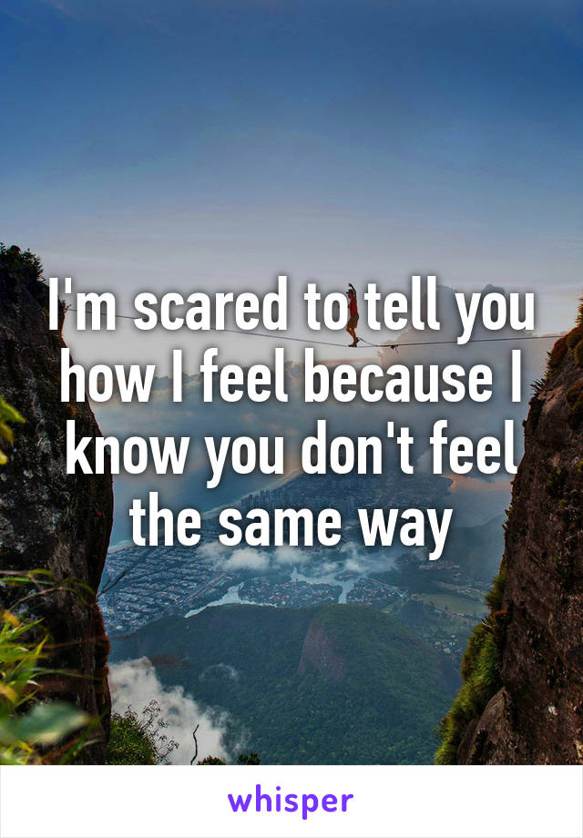 I'm scared to tell you how I feel because I know you don't feel the same way